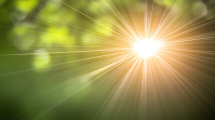 Fototapeta premium A beautiful sunbeam breaking through lush green foliage, creating a serene and vibrant atmosphere in nature.