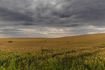 Jesienne pola zbożowe przed burzą © Jan Clarius