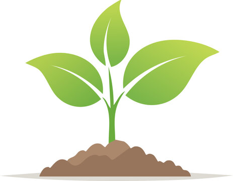 Small sprout rising from dark soil illustrating hope natural development and organic cultivation representing sustainability agriculture
