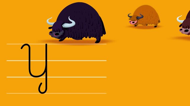 Y letter writing like multi color yak cartoon animation. A compatibile part of the alphabet serie. Handwriting educational style for children for education movies, presentation, learning alphabet.