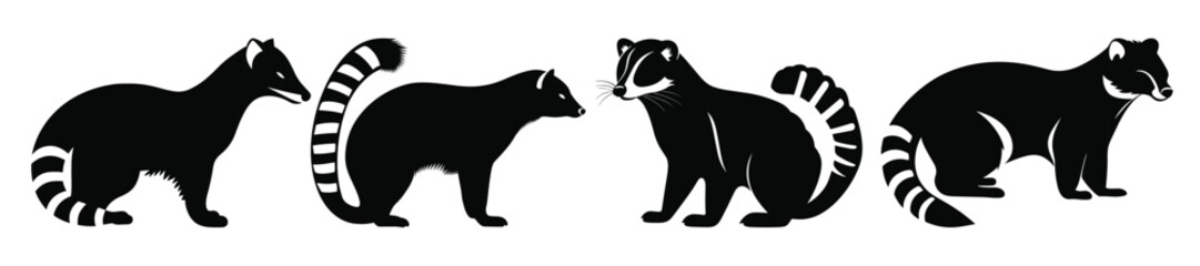Obraz premium coati animal vector silhouettes set coati black silhouette