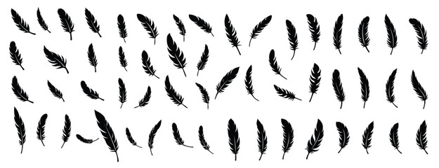 Collection of black feather silhouettes on white background 1 © Okshz