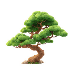 Curvy tree with full green foliage, small rocks, against a black background