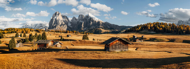 Panorama of Alpe di Siusi, Seiser Alm, view of majestic dolomites, mountains background.