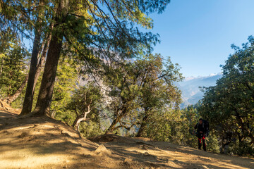 A path through a mountain forest, often called a trail, hiking path