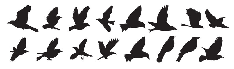 Obraz premium bird silhouettes vector 