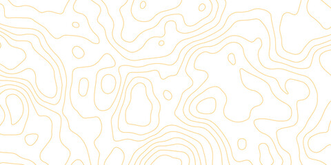 Topographic map background with geographic grid for hiking and mountain sport. luxury topographic wavy pattern and geographic grid map design. paper texture Imitation of a geographical map shades. © Abdur Rahman Safin 