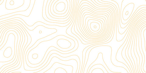 Topographic map background with geographic grid for hiking and mountain sport. luxury topographic wavy pattern and geographic grid map design. paper texture Imitation of a geographical map shades. © Abdur Rahman Safin 