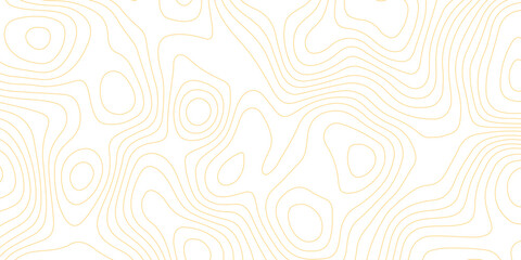 Topographic map background with geographic grid for hiking and mountain sport. luxury topographic wavy pattern and geographic grid map design. paper texture Imitation of a geographical map shades. © Abdur Rahman Safin 