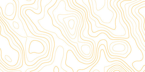 Topographic map background with geographic grid for hiking and mountain sport. luxury topographic wavy pattern and geographic grid map design. paper texture Imitation of a geographical map shades. © Abdur Rahman Safin 