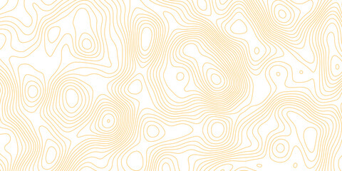 Topographic map background with geographic grid for hiking and mountain sport. luxury topographic wavy pattern and geographic grid map design. paper texture Imitation of a geographical map shades. © Abdur Rahman Safin 