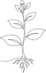 Obraz premium Line drawing of a young plant with visible roots and leaves