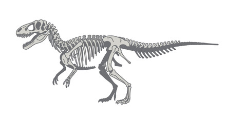 A detailed anatomical illustration of a dinosaur skeleton, showcasing its skeletal structure and proportions. © Friska