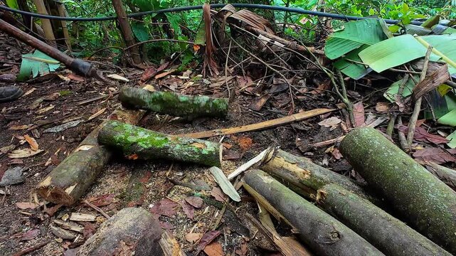 Man holding heavy handsaw Axe in lumberjack hands chopping or cutting wood trunks
