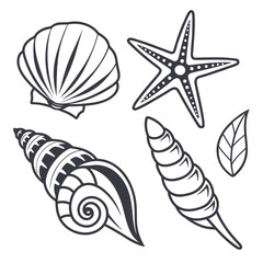 Obraz premium Black and white of seashells, starfish, and leaf nature