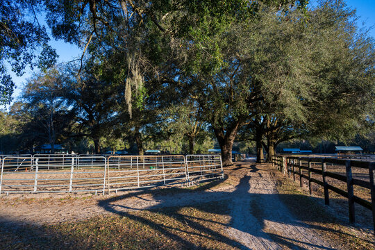 A horse round pen in an Ocola ranch