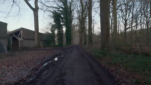 Low Drone Flight Over Muddy Forest Path, Belgium | FlyLens