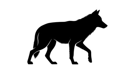 Fototapeta premium Black Wolf Silhouette Walking Isolated on White Background