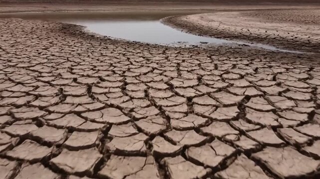 Cracked earth near shrinking water source