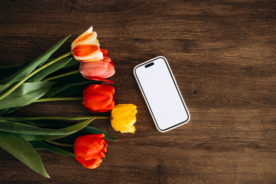 Tulips and smartphone with blank screen flat lay on wooden background, copy space.