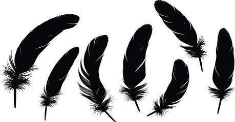 Black feather silhouettes set featuring curved and straight bird feathers isolated on white background for decorative, tattoo, and graphic design use © Shuvo creative