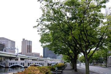 並木道と石造りの橋が美しい都市の川辺の風景