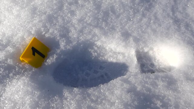 A winter crime scene shows a deep footprint in glittering snow beside a numbered forensic evidence marker, revealed with a smooth upward camera move and crisp sunlight shadows.