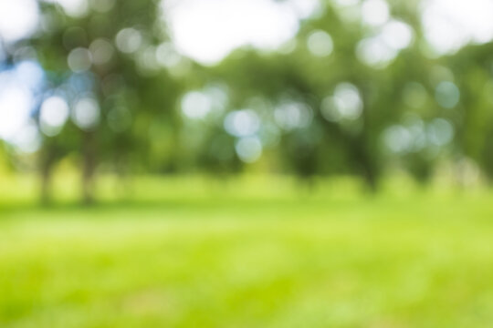 Abstract blurred green nature park background with bokeh,Blurred background of a lush green park with trees and soft sunlight, creating a beautiful bokeh effect. Ideal for nature, ecology, or spring.