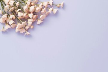 Obraz premium A delicate arrangement of small pale pink and white blossoms rests on a smooth light lavender colored surface creating a calming scene