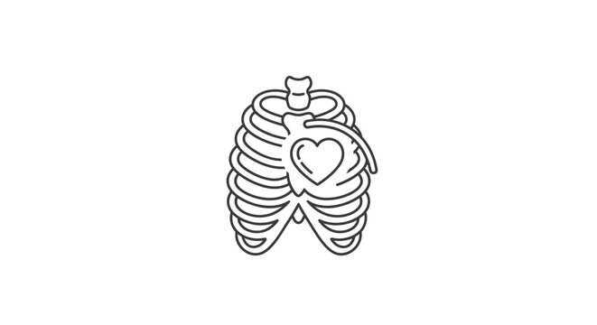 Heart Inside Human Rib Cage.