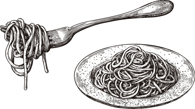 italian pasta vector hand drawn illustration 