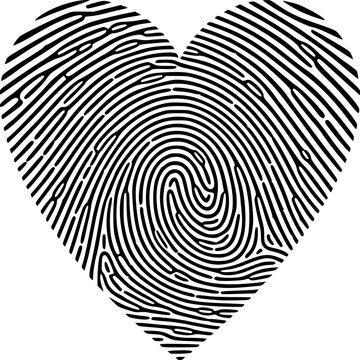 A unique black ink fingerprint heart vector illustration symbolising biometric identity and forensic security through a detailed thumbprint pattern used for criminal investigation and identification