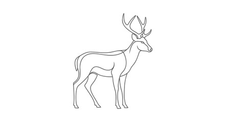 Obraz premium Vector line art deer illustration, one line drawing of stag with antlers, wildlife icon, for logo or graphic design, Isolated on transparent background, png