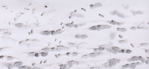Footprints or tracks in the white snow seen from above