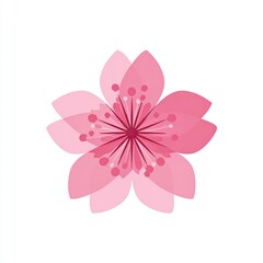 Vector illustration of a delicate, five-petaled pink blossom with translucent layers