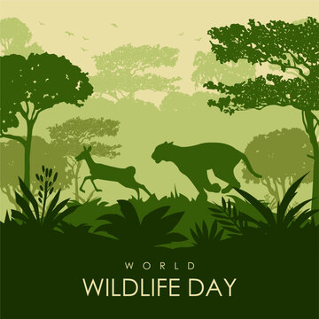 vector world wildlife poster template