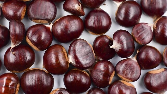 Pile of Italian raw chestnuts from the province of Frosinone in the Lazio region.High angle view on white plate,close-up,rotating video.