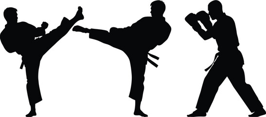 Martial arts silhouettes of fighters practicing high kick and boxing pose, karate taekwondo training vector illustration set for combat sport self defense design © Shafik Creatives