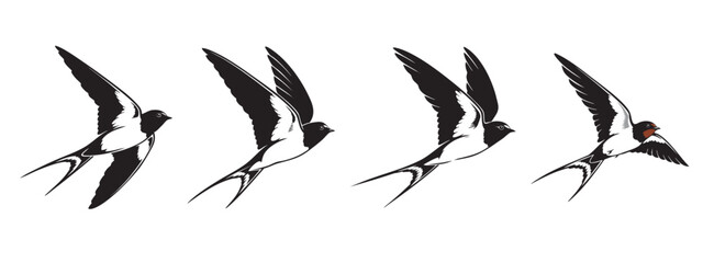 Obraz premium Flying Swallow Bird Silhouette Set