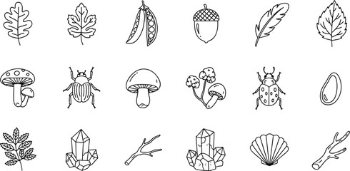 Collection of nature and science in minimalist line style line minimalist leaves acorn © allustra