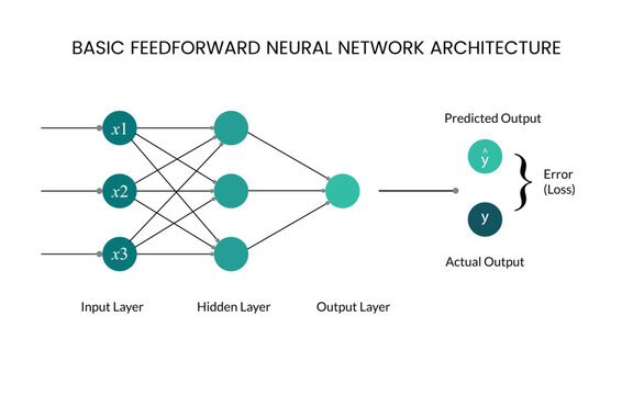 Basic feedforward neural network architecture infographic showing input, hidden, and output layers. Clean educational AI diagram ideal for machine learning, data science learning, and technology.