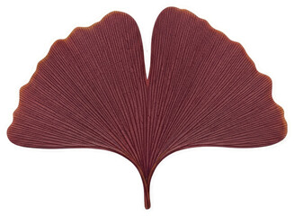Ginkgo leaf isolated On Transparent Background