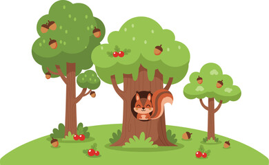 Fototapeta premium Cute forest scene with squirrel in tree hollow acorns berries cartoon vector illustration