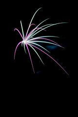 A solitary, vibrant fireworks burst with streaks of magenta and lime green. radiating outwards from a central point against a pure black background