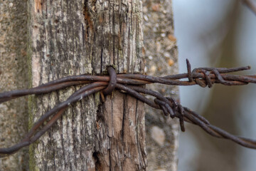 old rusty barbed wire