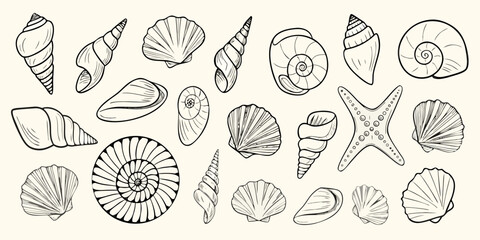Collection of hand drawn seashells and a starfish on a cream background