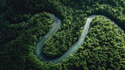 Fototapeta premium Aerial view of a winding river looping through a dense green forest. Concept Aerial Landscape, Meandering River, Dense Forest Canopy, River-Valley View, Nature Photography