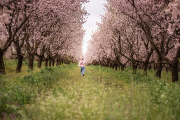 Young child exploring a pathway between rows of fragrant cherry blossom trees on a vibrant spring day, symbolizing freedom, growth, and the beauty of childhood in nature