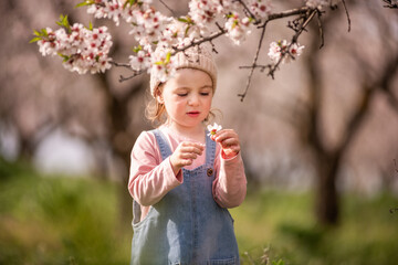 Little child wearing a knitted hat and denim overalls carefully holding a delicate white almond flower while standing outdoors under blooming branches in a sunny park during springtime