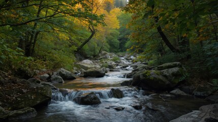 Obraz premium A serene stream flows through a lush forest with vibrant autumn foliage